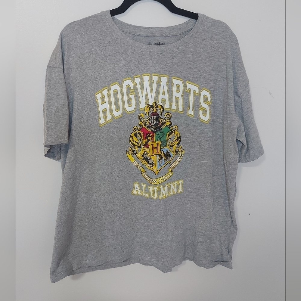 Hogwarts Alumni Gray T-Shirt Xl